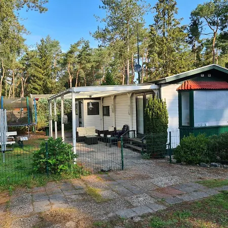 Modern Holiday In Near Zandenplas Park Holiday home Doornspijk